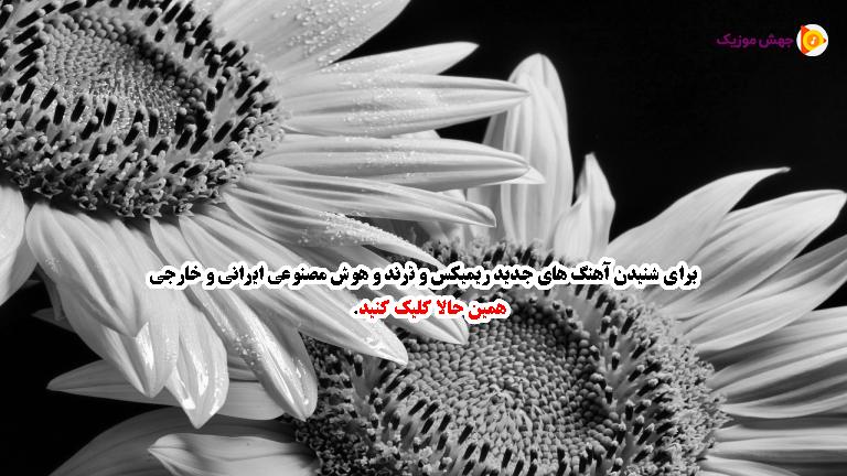 دانلود آهنگ بوم بوم تام تام (بیس‌دار و ترند اینستاگرامی خارجی) از MC Fioti